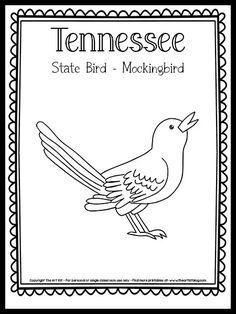 the state bird mockingbird coloring page