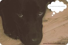 a black dog is sitting on the floor with a thought bubble above it's head