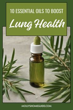 Discover the healing power of essential oils for lungs with these best essential oils. Combat congestion, infection, and inflammation in your respiratory system naturally. Support lung detox and overall respiratory health with these natural remedies. Whether you're looking to boost lung healing or seeking herbs for bronchitis relief, incorporate these essential oils into your wellness routine for a breath of fresh air. Essential Oil For Respiratory, Essential Oils For Respiratory Issues, Respiratory Health Natural Remedies, Essential Oils For Phlegm, Essential Oils For Lung Health, Lung Health Remedies, Upper Respiratory Infection Remedies, Respiratory Infection Remedies, Cleanse Lungs