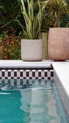 two potted plants sitting on the edge of a swimming pool