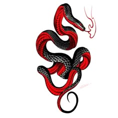 Red Belly Black Snake Tattoo, Red Serpent Tattoo, Serpent Tattoo Men, Red And Black Snake Tattoo, Black And Red Snake Tattoo, Black And Red Tattoo Design, Red Tattoo Men, Tattoos Line Art, Red Snake Tattoo