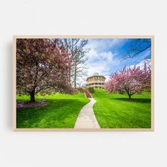 an image of a building in the distance with trees and grass on both sides of it