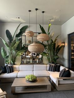 a living room filled with lots of furniture next to tall plant life hanging from the ceiling