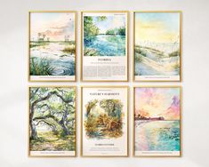 four watercolor paintings hanging on the wall