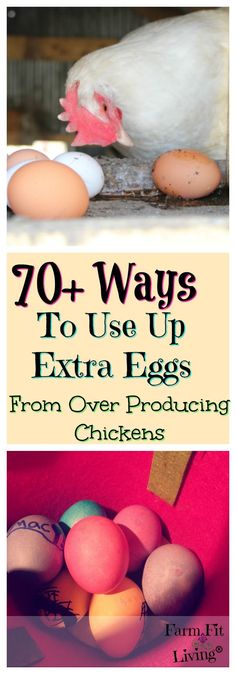 chickens and eggs with the title, 70 ways to use up extra eggs from over producing chickens