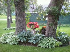 the garden is full of flowers and trees