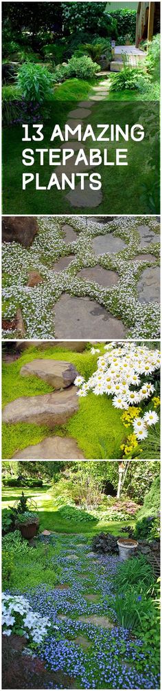 the steps are covered in flowers and grass with text overlay that reads 15 amazing stepping plants