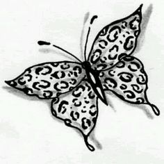 a black and white drawing of a leopard print butterfly on a white background, with the wings spread wide open