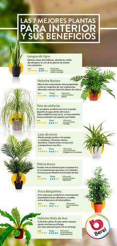 a poster with different types of plants in it