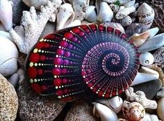 some rocks and sea shells are laying on the ground with one shell in it's center