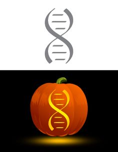 an orange pumpkin with a double - strand design on it's side and the letter c next to it