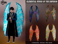 an image of some angel wings with different colors