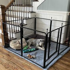 two dogs are laying in their kennels on the floor next to each other