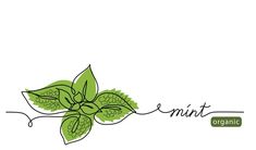 an organic logo with leaves and the word mint