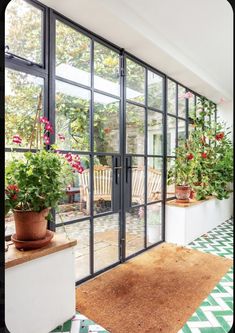 a room filled with lots of plants and potted plants on top of a rug