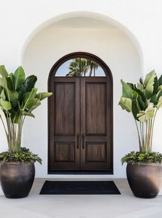 two large planters with plants in them are next to a door that has an arched glass window