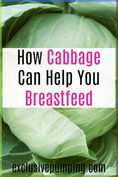 cabbage with the words how cabbage can help you breastfeed in pink and green