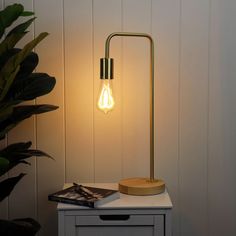 a lamp that is sitting on top of a table next to a potted plant