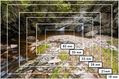 a river surrounded by rocks and greenery in the middle of a forest with white lines