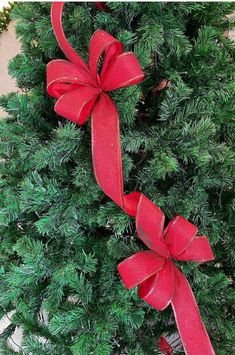 a christmas tree with red bows on it