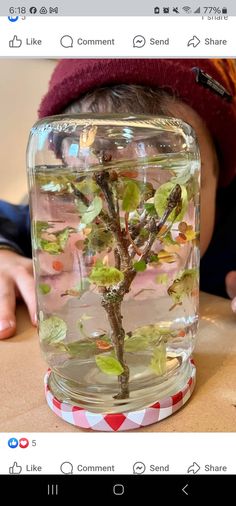 a glass jar filled with water and plants on top of a wooden table next to a person's head