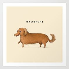 a brown dachshund dog with the words dachshund on it