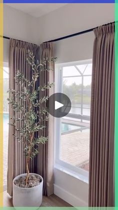 a potted plant sitting in front of a window next to a pair of curtains