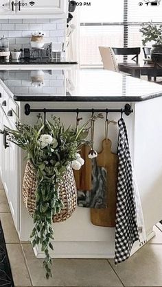 a potted plant is hanging on the kitchen counter next to an oven and dishwasher