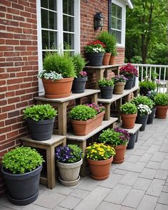 several potted plants are lined up on the side of a brick building with windows