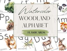 watercolor woodland alphabet flash cards