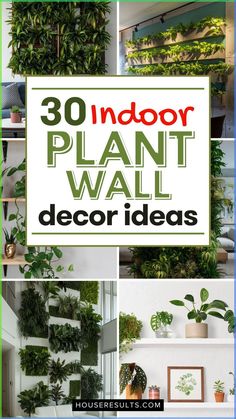 indoor plant wall decor ideas with text overlay that reads 30 indoor plant wall decor ideas