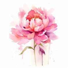 a watercolor painting of a pink flower