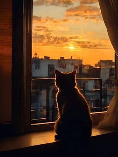 a cat sitting on a window sill watching the sunset