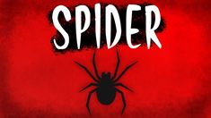 a spider on a red background with the word spider written in white across the image