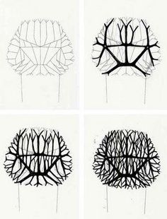 four black and white drawings of trees with different branches on them, each showing the same shape