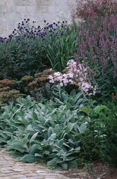 an assortment of plants and flowers in a garden area next to a brick wall with stone walkway