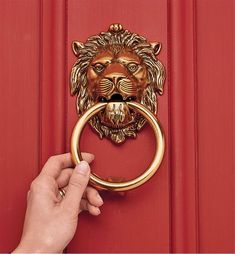 a person is holding a ring in front of a door with a lion head on it