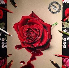 a drawing of a red rose with drops of water on it and some pencils next to it