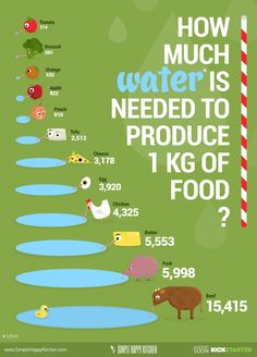 an info poster showing how much water is needed to produce