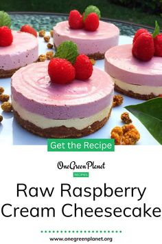 raw raspberry cream cheesecake recipe on a plate with fresh raspberries