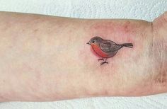 a small bird tattoo on the left wrist and right arm, with an orange breast