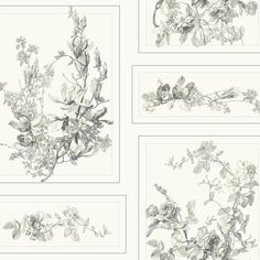 The Magnolia Wallpaper in Grey and White from the Magnolia Home Collection by Joanna Gaines Flower Wallpaper Drawing, Magnolia Wallpaper, Off White Wallpapers, Stripped Wallpaper, Wallpaper Drawing, Classic Flower, York Wallpaper, Illustration Botanique, How To Install Wallpaper