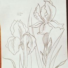 a drawing of some flowers on a piece of paper