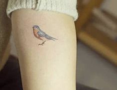 a small bird tattoo on the arm