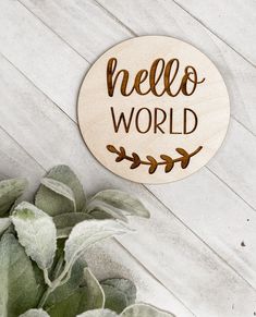 a wooden sign that says hello world next to a potted plant on a white surface