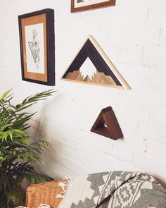 three framed pictures hang on the wall next to a potted plant