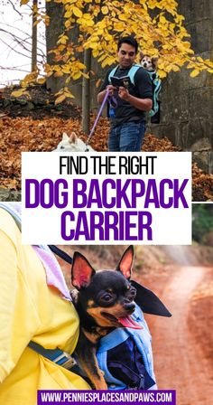 Find the Right Dog Backpack Carrier Dog Backpack Carrier, Dog Backpack, Pet Care, Dog Cat