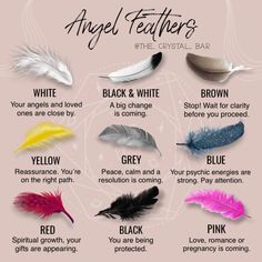 Feather Tattoo Meaning, Angel Feather, Angel Feathers, Wiccan Spell Book