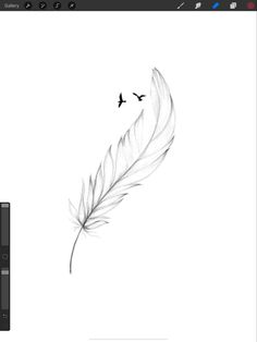 a black and white photo of a feather with two birds on it's back