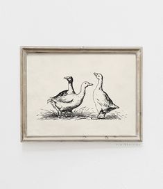 two ducks standing next to each other in front of a white wall with a frame on it